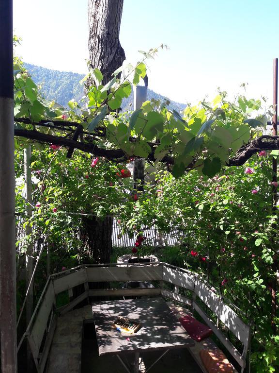 Rachvela'S Guest House Borjomi Exterior foto